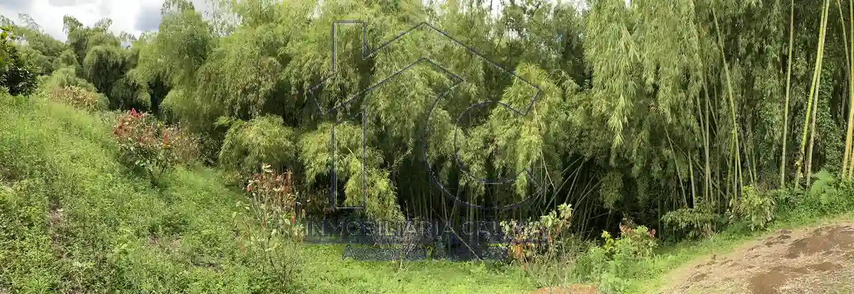 Casa Campestre, Circasia